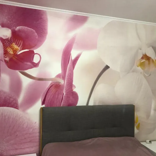 chambre avec papier peint