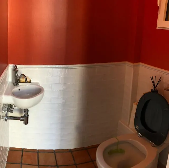 salle de bain colorée